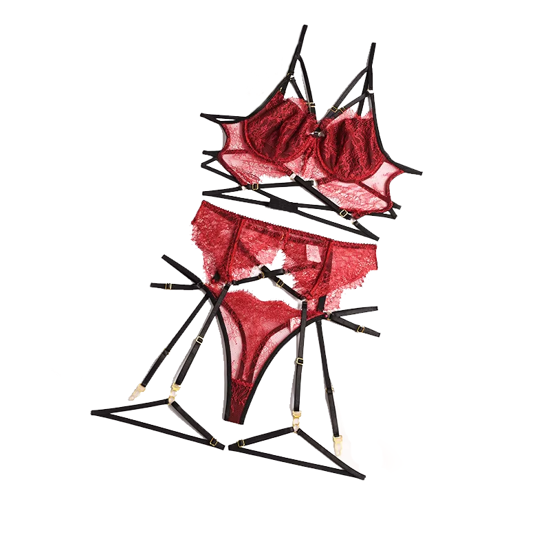 Lencería Sexy de encaje transp - Sheer Bra Lace reseña y precio